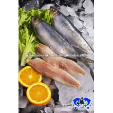 frozen fish herring fillet seafood